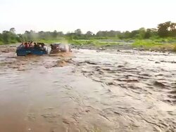 WS View of people crossing tractor from riverat Jim Corbett National Park / Corbet , Nainital, Uttarakhand, India Stock Footage