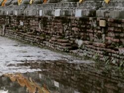 MS  TU Reflection of meditating buddha statues in puddle / Ayutthaya, Thailand Stock Footage