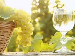 HD DOLLY: Wine Glass And Basket Of Grapes Stock Footage