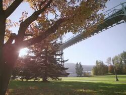 WS POV SLO MO Shot of beautiful sunny park shows autumn fall leaves and colors with sun peaks around tree and large steel St. Johns Bridge / Portland, Oregon, United States Stock Footage
