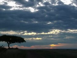 WS, Cloudy sky at sunset above savanna, Masai Mara Game Reserve, Rift Valley, Kenya Stock Footage