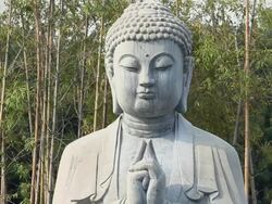 LS Stone Buddha statue and Bamboo forest/xian,shaanxi,China Stock Footage