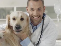 Friendly Veterinarian With A Dog Stock Footage