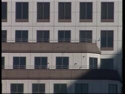 Heart of downtown closed after dozens of birds found dead News Clip