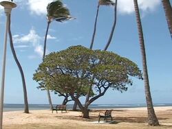 Relax at the beach Stock Footage