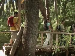 Hikers in forest walking across bridge and looking at view Stock Footage