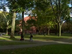 MS students and tourist walking on harvard yard AUDIO / Cambridge, Massachusettes, United States Stock Footage