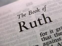 HD 1080i Book of Ruth 2 Stock Footage