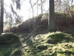 Back Lit Stock Footage