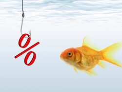 Goldfish looking for sales Stock Footage