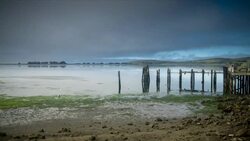 Timelapse of Abandoned Pier at Bodega Bay, California Stock Footage