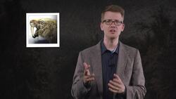 The Story of Saberteeth Instructional Video