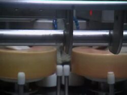Cellar for aging cheese. Rows of shelves holding cheese wheels.  Stock Footage