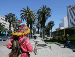 MS Wide tree lined streets in Lusitania district / CASABLANCA, Morocco Stock Footage