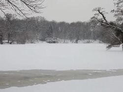 Snow landscape with snowfall Stock Footage