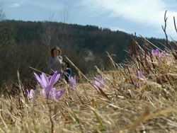 HD: Young women jogging in nature. Stock Footage