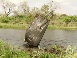 MS Woman with fishing net / Mato Grosso do Sul, Brazil Stock Footage