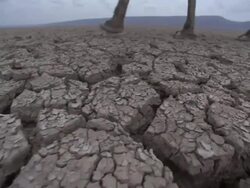 Medium tracking-left - A caravan of camels and tribesmen cross dry, cracked earth in Africa. / Djibouti Stock Footage