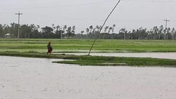 CLEAN : Bangladeshs illegal kidney trade booms despite health risks News Clip