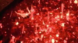 VOICED : New bells for Notre Dame cathedral News Clip