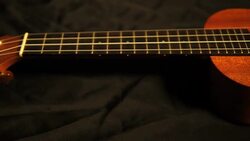 Ukulele Stock Footage