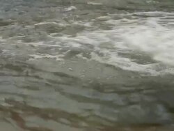 Spring Stream Stock Footage