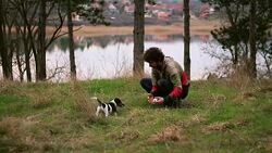 Curly guy playing with his pet Stock Footage