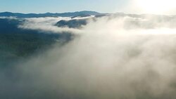 Flying through fog over a forest into the morning sun Stock Footage