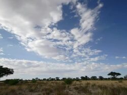 Timelapse clouds over scrubby desert, Kalahari, South Africa Stock Footage