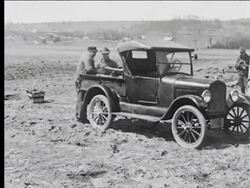 Men preparing tree seedlings Stock Footage