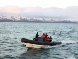 HD: Adventure Stock Footage