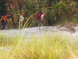 Five senior people hiking in the forest, Rishikesh, Uttarakhand, India Stock Footage