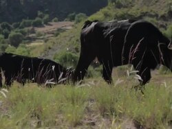 Torotoro Hills & Lands Stock Footage