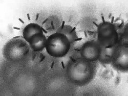 SUNS : black (LOOP) Stock Footage