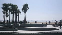 Playground Roller Skating at Venice Beach Stock Footage