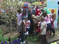 Katie Couric, Gary E. Knell, Elmo and participants at the Katie Couric and Sesame Street Muppets - When Families Grieve at New York NY. (Footage by WireImage Video/GettyImages) Stock Footage