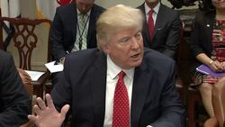 Trump Holds White House Meeting with Sheriffs Instructional Video