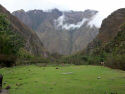 Farm along the Inca Trail, Peru Stock Footage