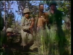 1965 two soldiers helping wounded Black soldier walk thru bushes / Vietnam War / newsreel Stock Footage