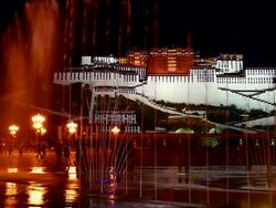 Beautiful night scenery of the Potala palace Stock Footage