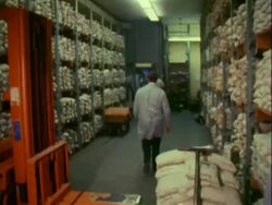 JFK Half-Dollar Coins at Fed Reserve of San Francisco Stock Footage