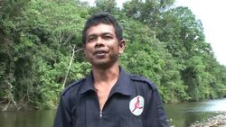 Orangutan sanctuary success in Sumatra News Clip