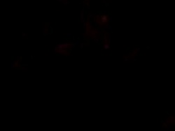 MS PAN Shot of concert crowd hands up and jumping / Ebisu, Tokyo, Japan Stock Footage