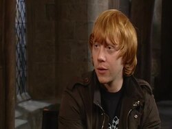 INTERVIEW Rupert Grint on his pet teacup pigs, on how they're not as small as he first thought, on potty training Stock Footage