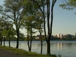 MS PAN Bicyclist in front of Madison skyline / Madison, Wisconsin, United States Stock Footage