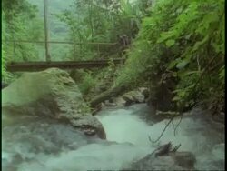 MS rushing river in jungle under old bridge, Uganda, Africa Stock Footage