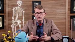 Lymphatic System: Crash Course A&P Instructional Video