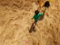 Group of kids playing with paper windmill in the forest Stock Footage