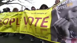 MLK Memorial March and Anti-Trump Rally in Washington D.C. News Clip