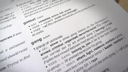 GANG and Blood Stock Footage